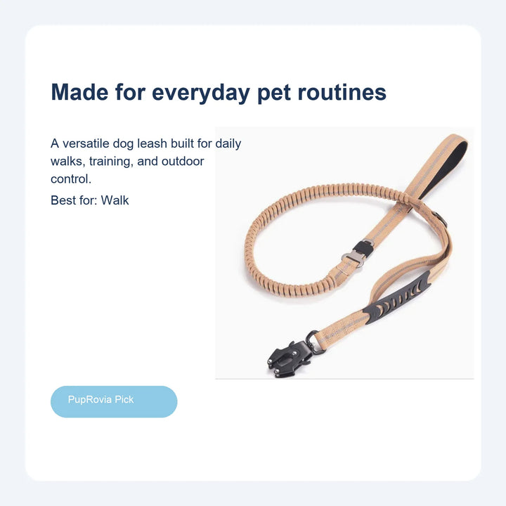 4-in-1 Tactical Dog Walking Leash - Lifestyle
