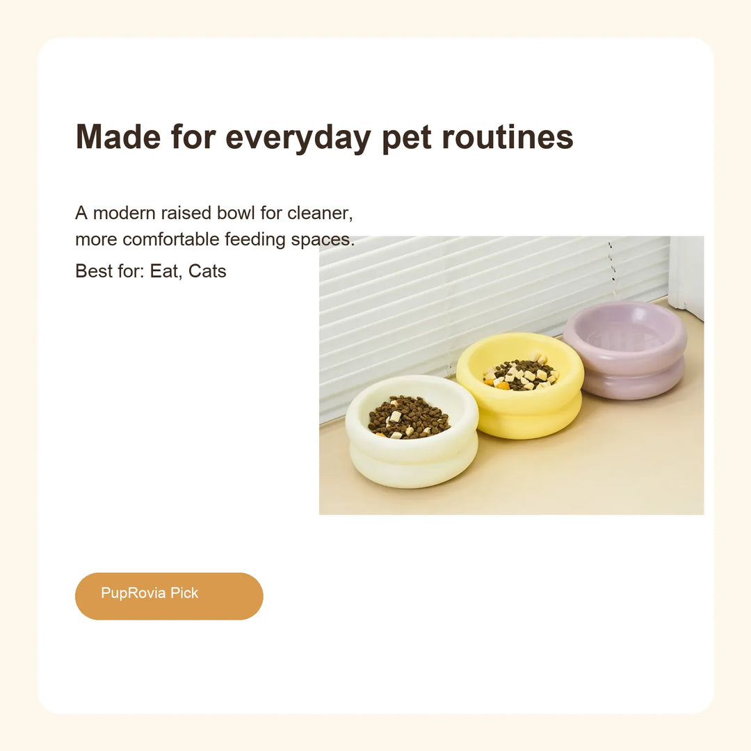 Elevated Ceramic Pet Bowl with Stand - Lifestyle