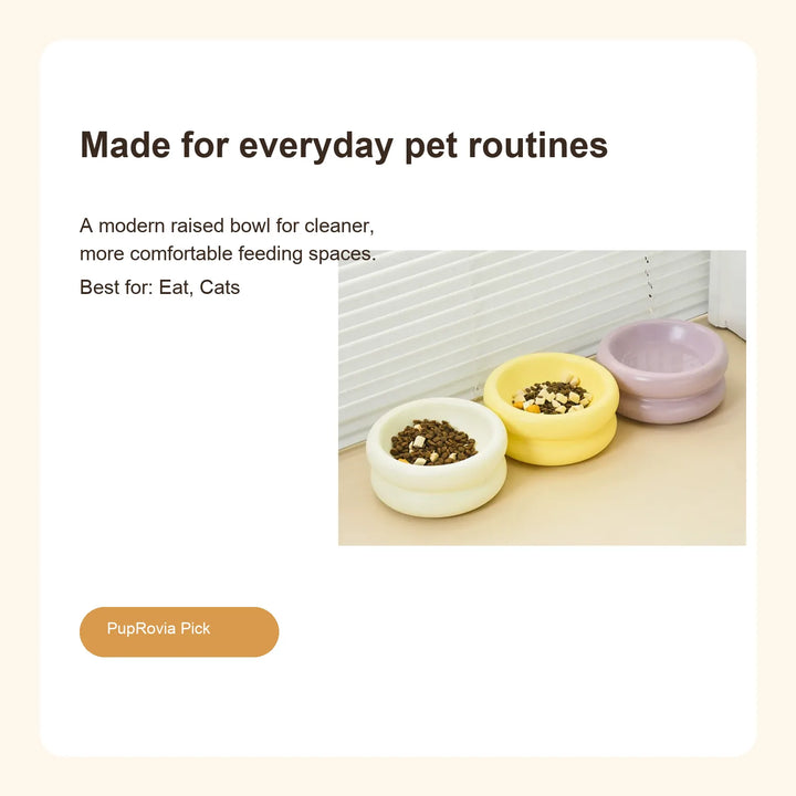 Elevated Ceramic Pet Bowl with Stand - Lifestyle