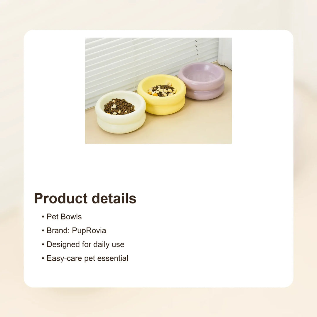 Elevated Ceramic Pet Bowl with Stand - Details