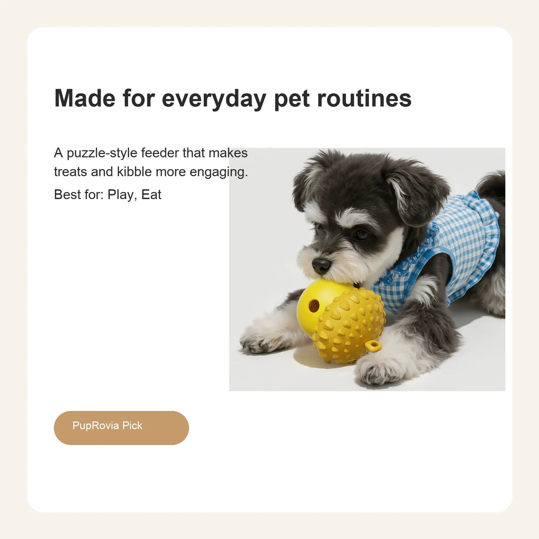 Interactive Dog Slow Feeder Puzzle Toy - Lifestyle