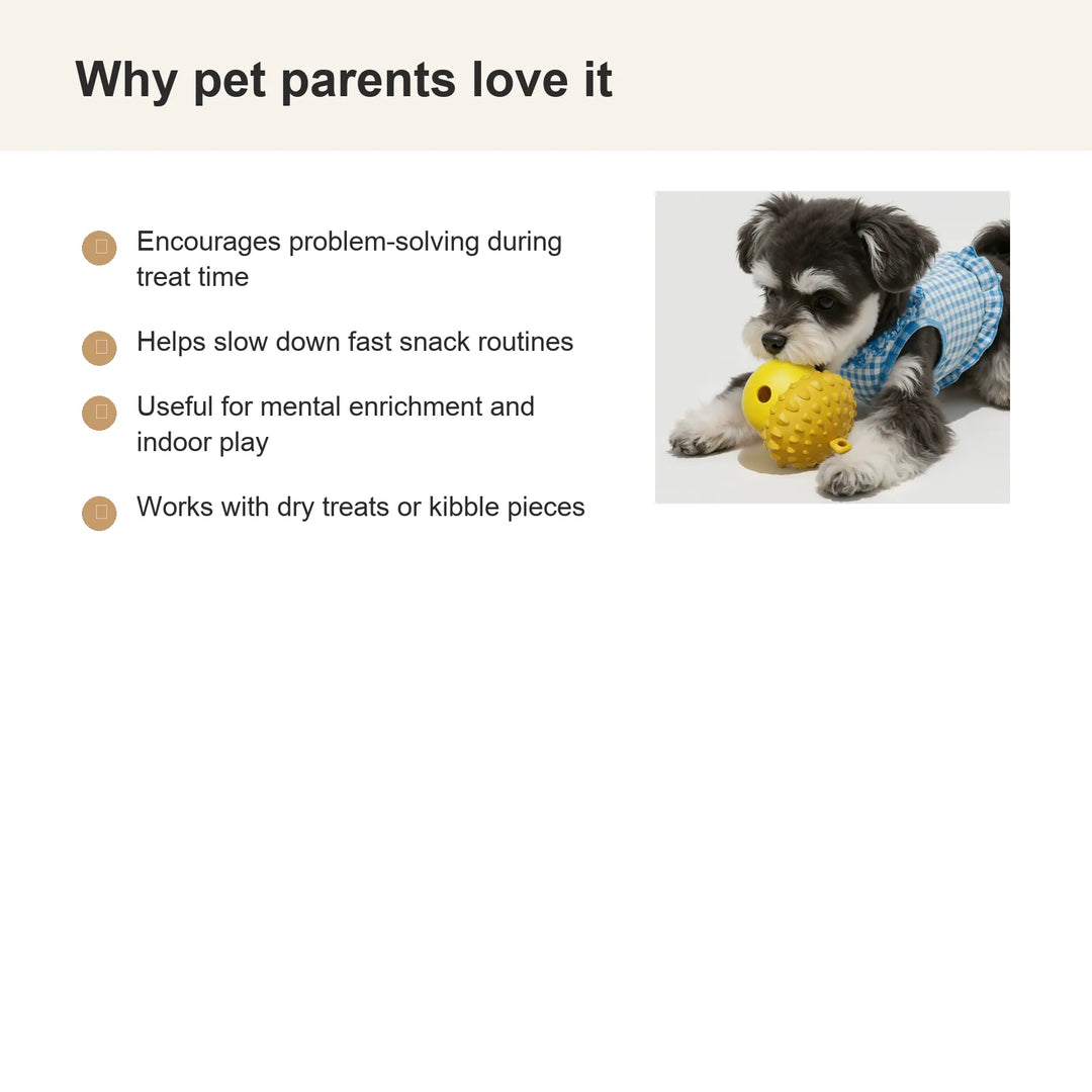 Interactive Dog Slow Feeder Puzzle Toy - Benefits