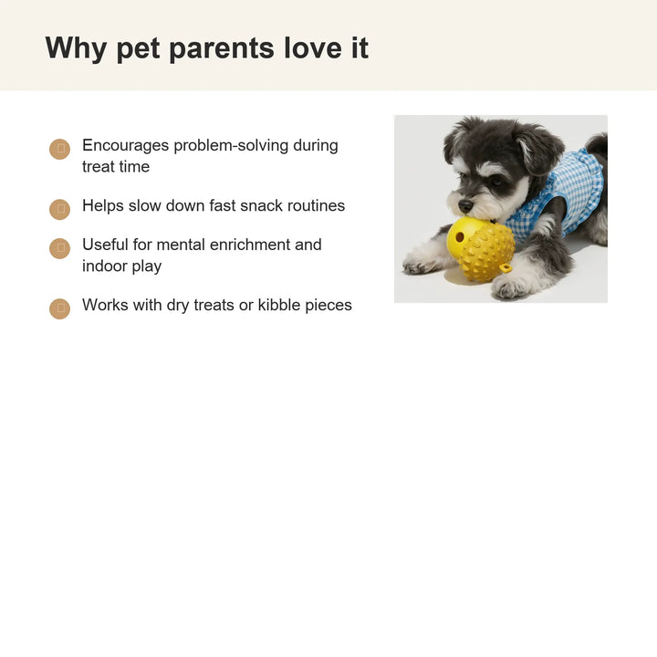 Interactive Dog Slow Feeder Puzzle Toy - Benefits