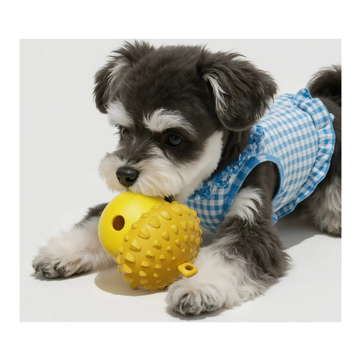Interactive Dog Slow Feeder Puzzle Toy - square product image