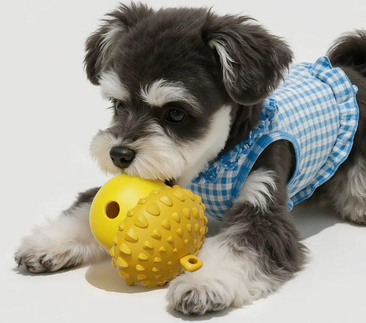 Interactive Dog Slow Feeder Puzzle Toy