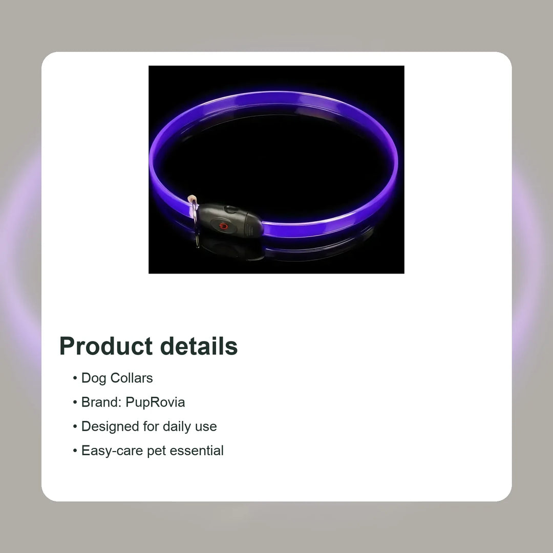 LED Glow Dog Collar - Details