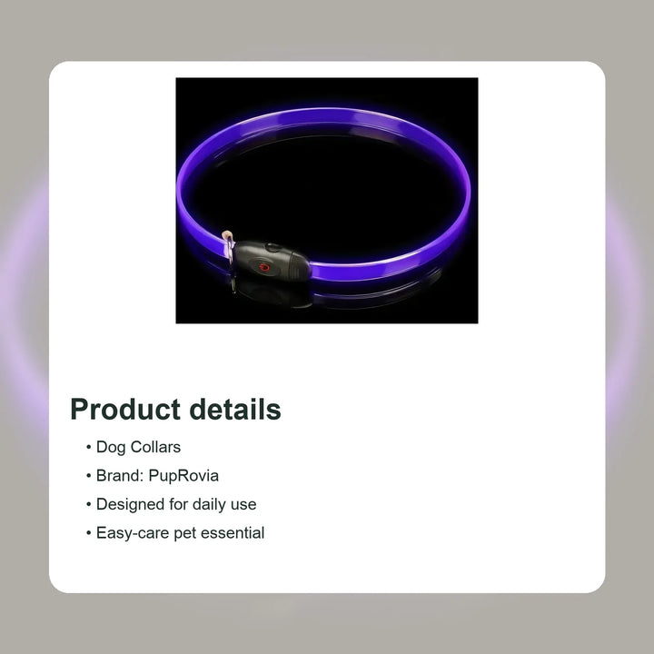 LED Glow Dog Collar - Details