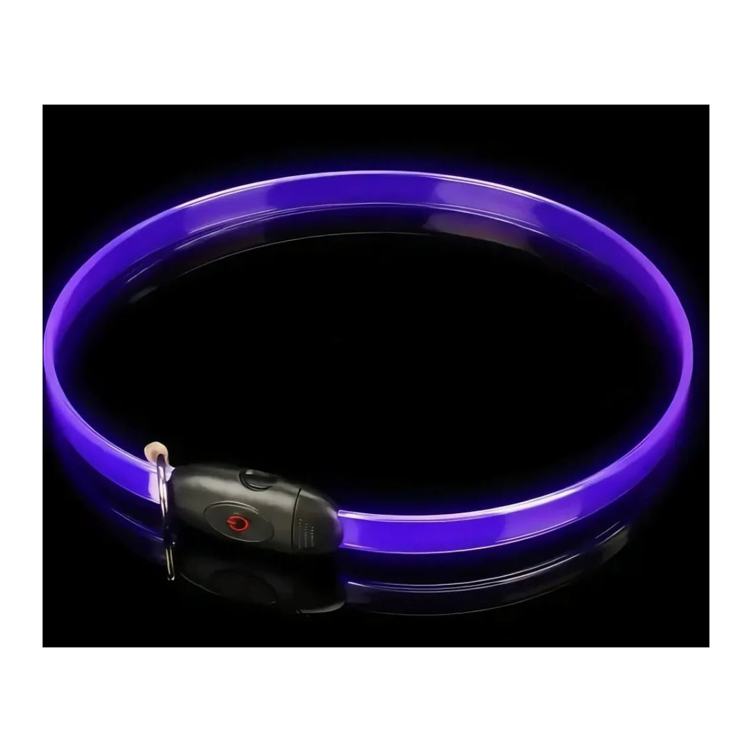LED Glow Dog Collar - square product image