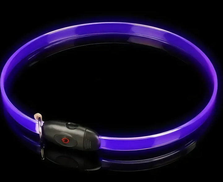 LED Glow Dog Collar
