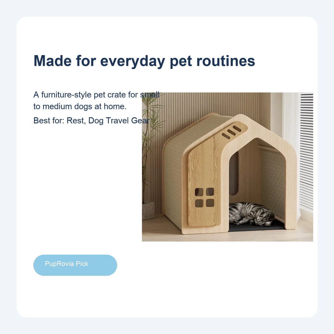 Modern Wood Dog Crate House - Lifestyle