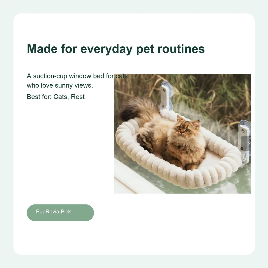 Plush Cat Window Hammock Perch - Lifestyle