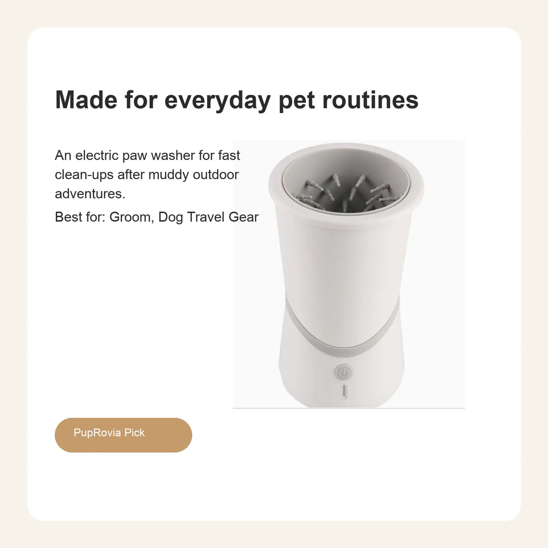 Rechargeable Automatic Dog Paw Cleaner - Lifestyle