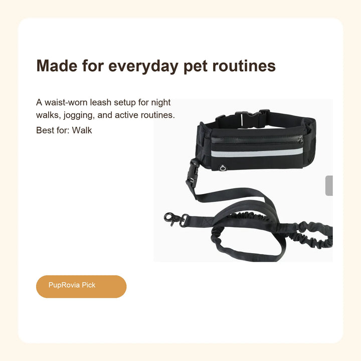 Reflective Hands-Free Dog Running Belt Leash - Lifestyle