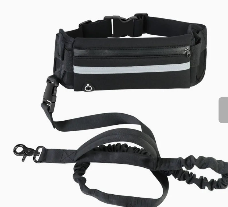 Reflective Hands-Free Dog Running Belt Leash