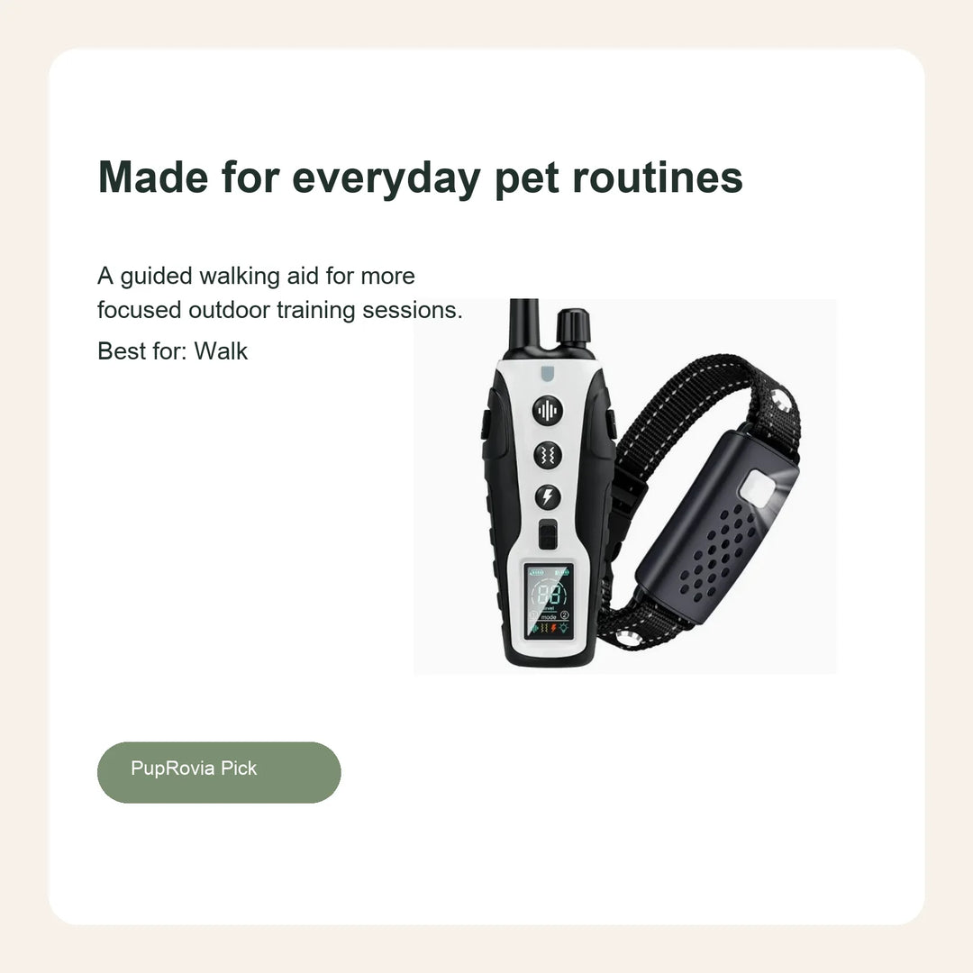 Smart Remote Dog Training Leash System - Lifestyle