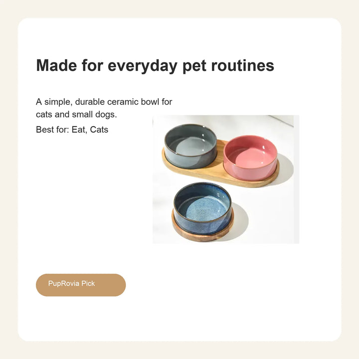 Solid Ceramic Pet Bowl - Lifestyle