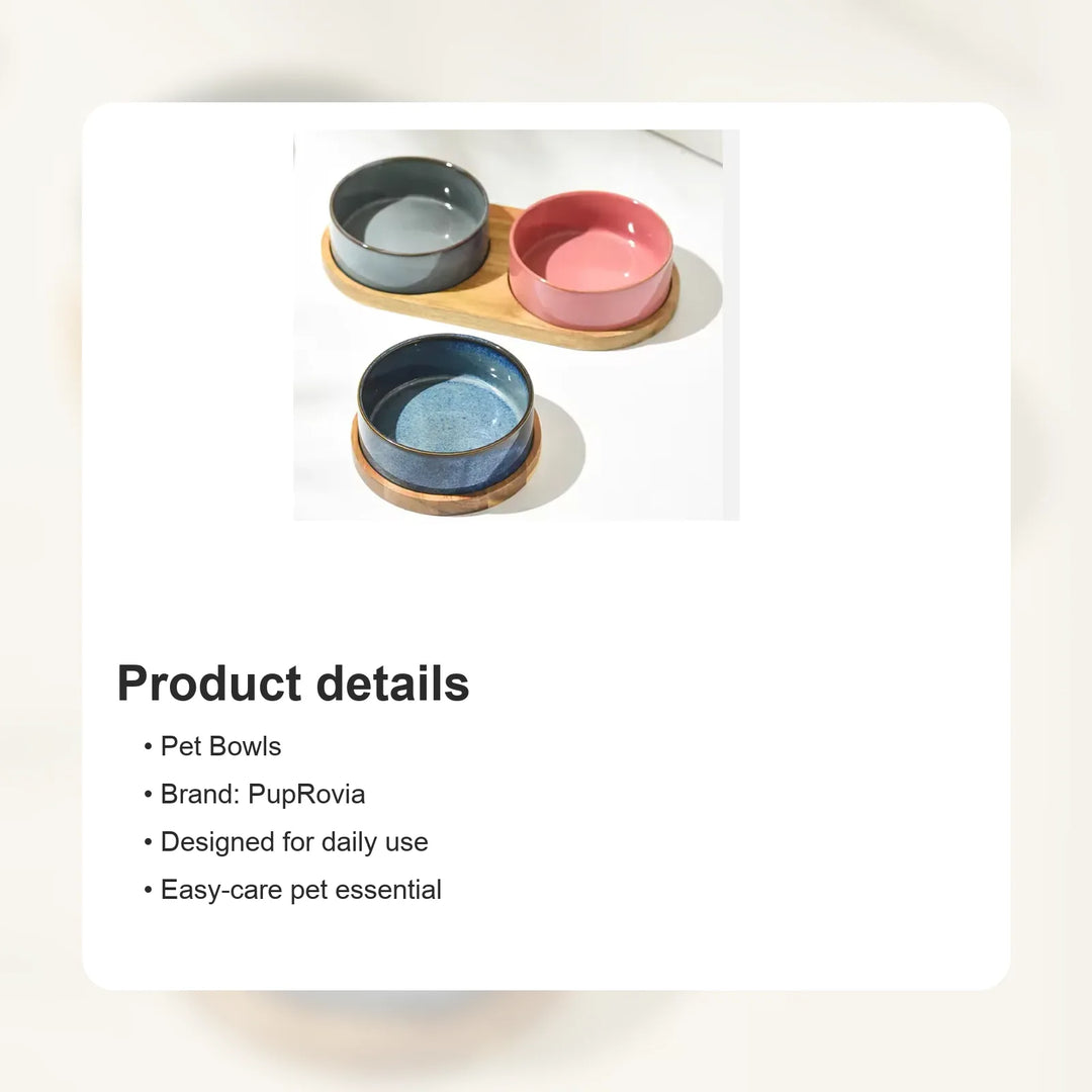 Solid Ceramic Pet Bowl - Details