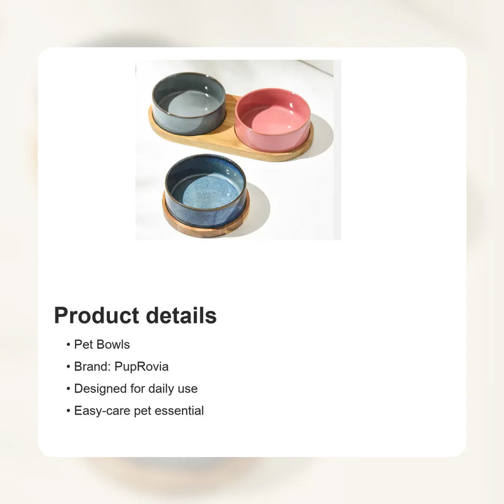 Solid Ceramic Pet Bowl - Details